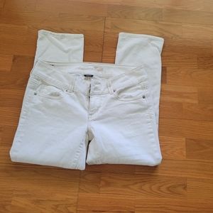 AMERICAN EAGLE ARTIST CROP